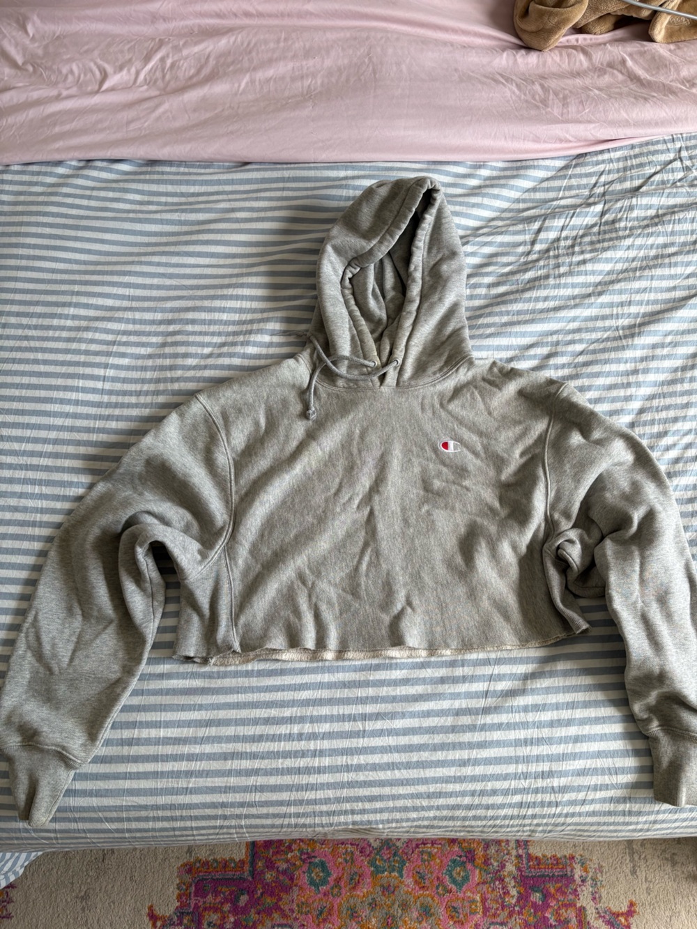 Champion Reverse Weave Gray Cropped Hoodie Size Medium